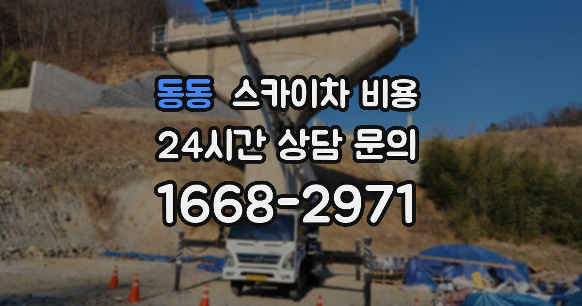 동동 스카이차 비용