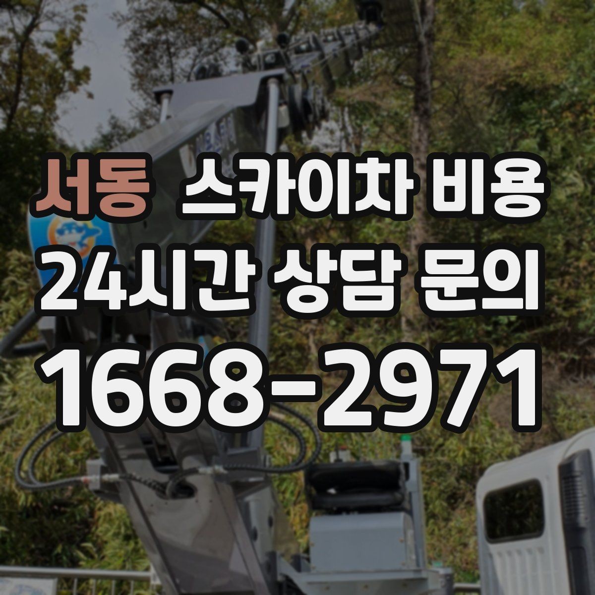 서동 스카이차 비용 라인조명 설치 비용에 영향을 주는 요소