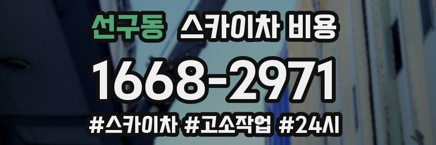 선구동 스카이차 비용