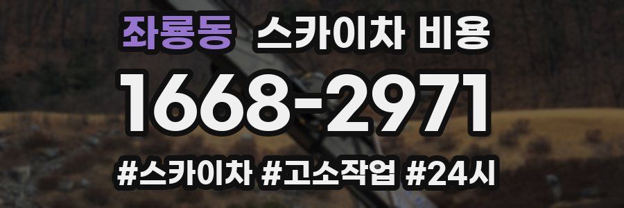 좌룡동 스카이차 비용