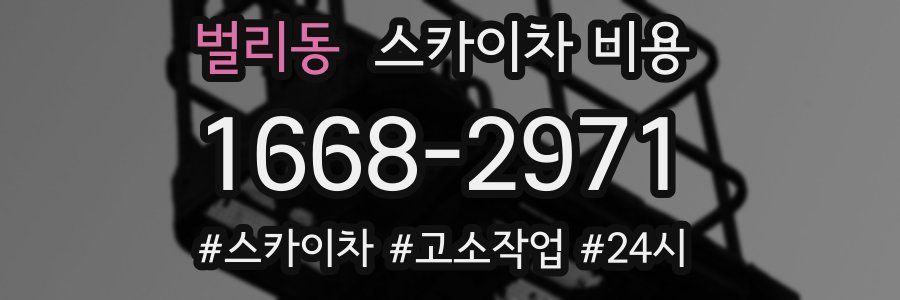 벌리동 스카이차 비용