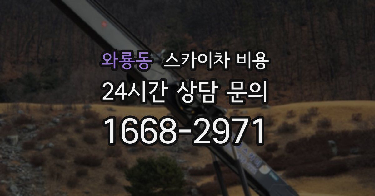 와룡동 스카이차 비용