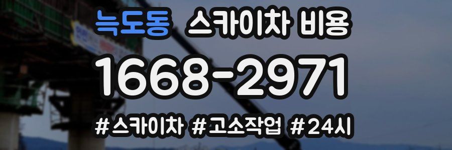 늑도동 스카이차 비용