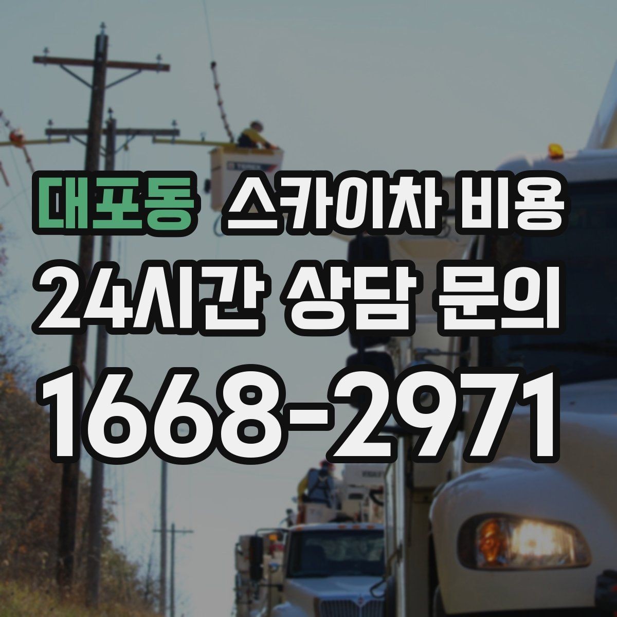 대포동 스카이차 비용 '포함'과 '별도' 항목을 구분하는 방법