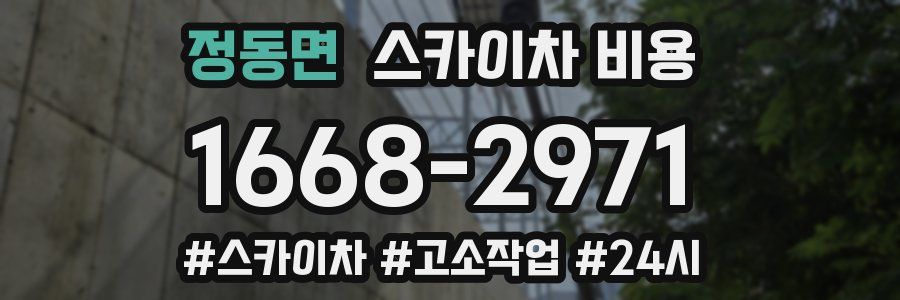 정동면 스카이차 비용