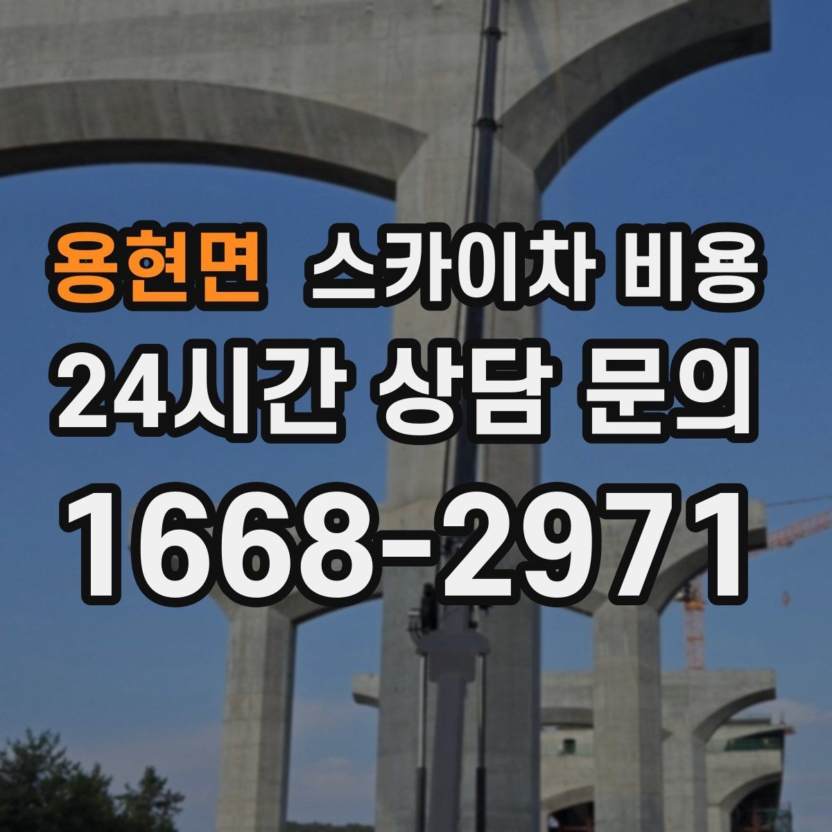 용현면 스카이차 비용 수목 전정은 무엇을 기준으로 견적이 나올까