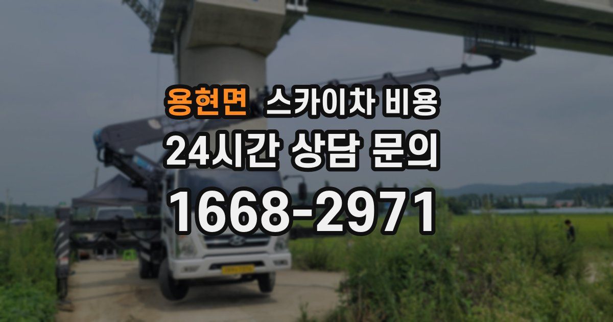 용현면 스카이차 비용