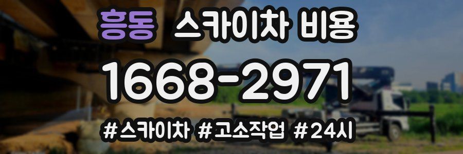 흥동 스카이차 비용