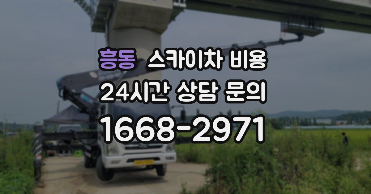 흥동 스카이차 비용