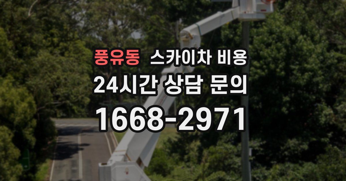 풍유동 스카이차 비용