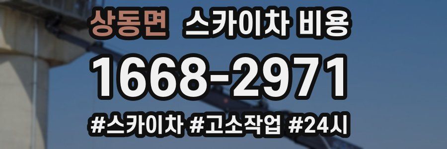 상동면 스카이차 비용