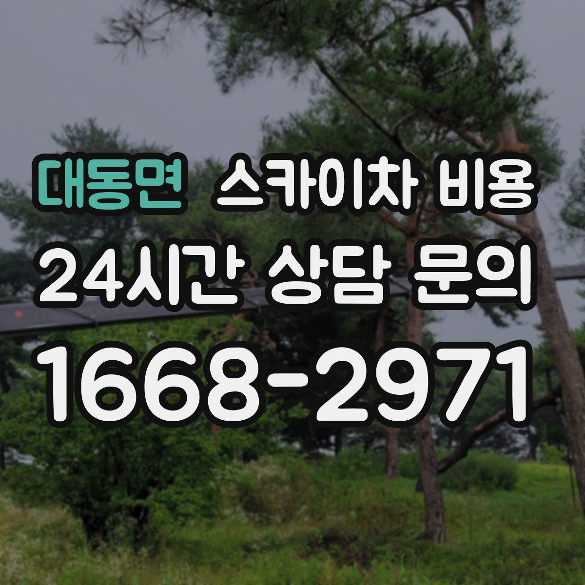 대동면 스카이차 비용