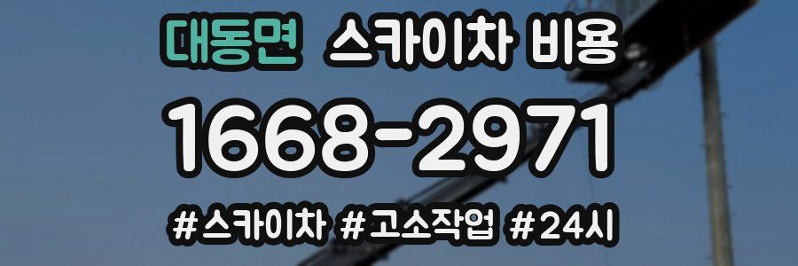 대동면 스카이차 비용