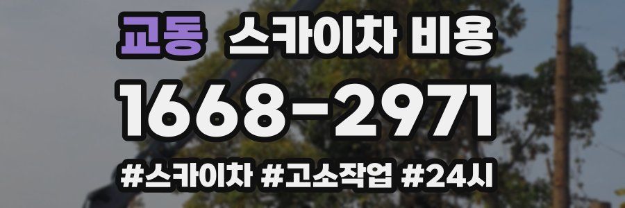 교동 스카이차 비용