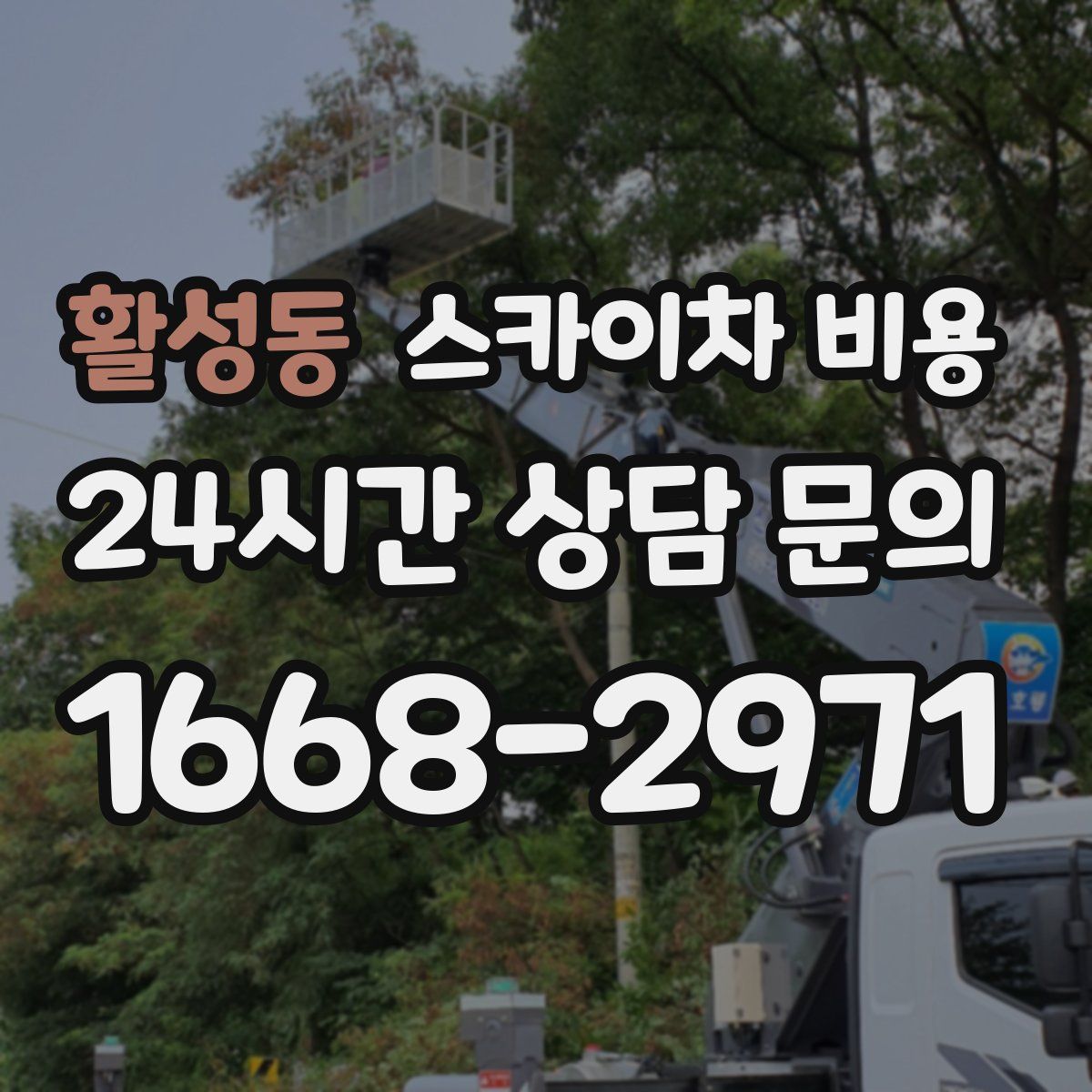 활성동 스카이차 비용