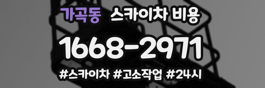 가곡동 스카이차 비용