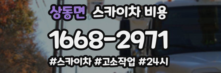 상동면 스카이차 비용