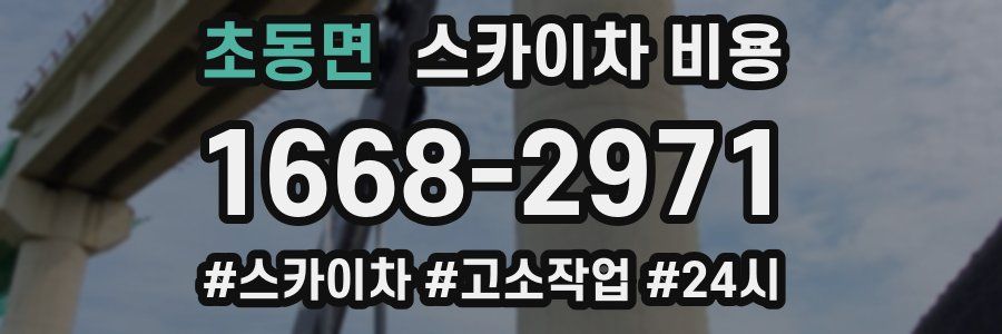 초동면 스카이차 비용