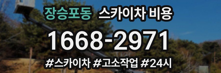 장승포동 스카이차 비용