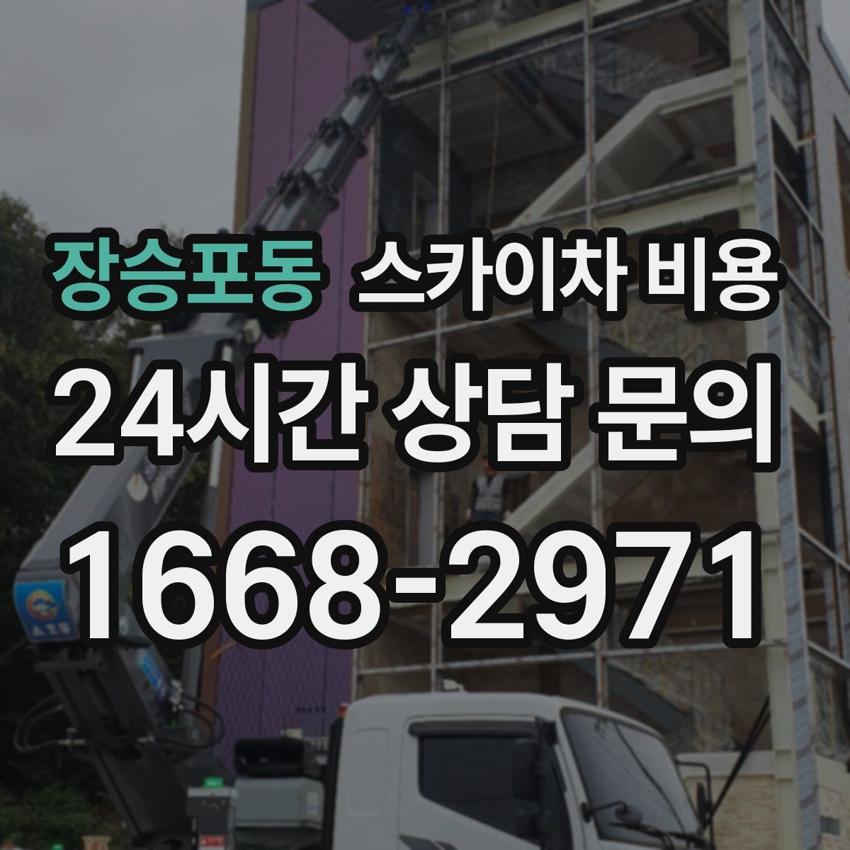 장승포동 스카이차 비용