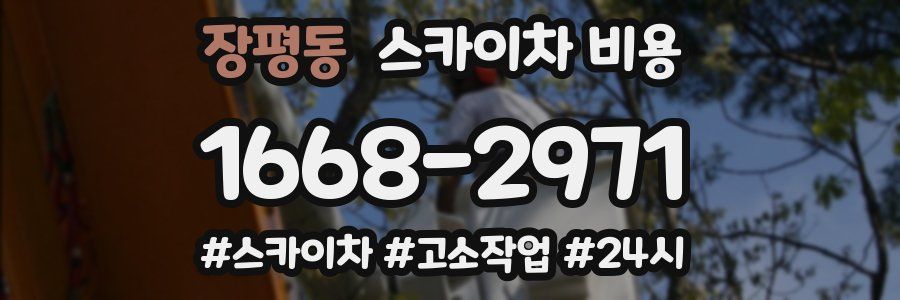장평동 스카이차 비용