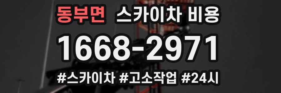 동부면 스카이차 비용