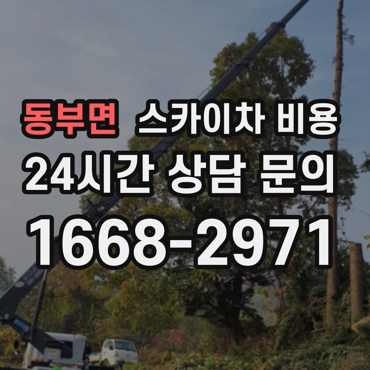 동부면 스카이차 비용