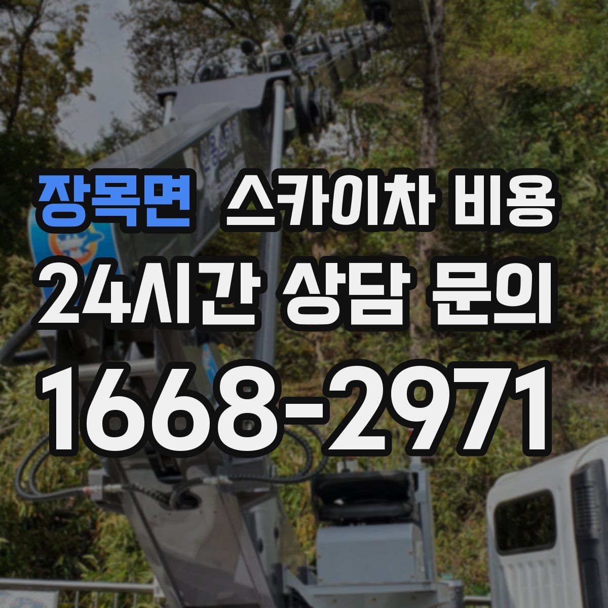 장목면 스카이차 비용