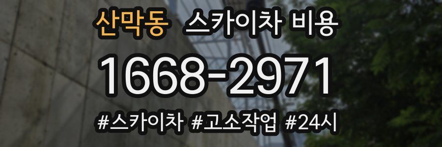 산막동 스카이차 비용