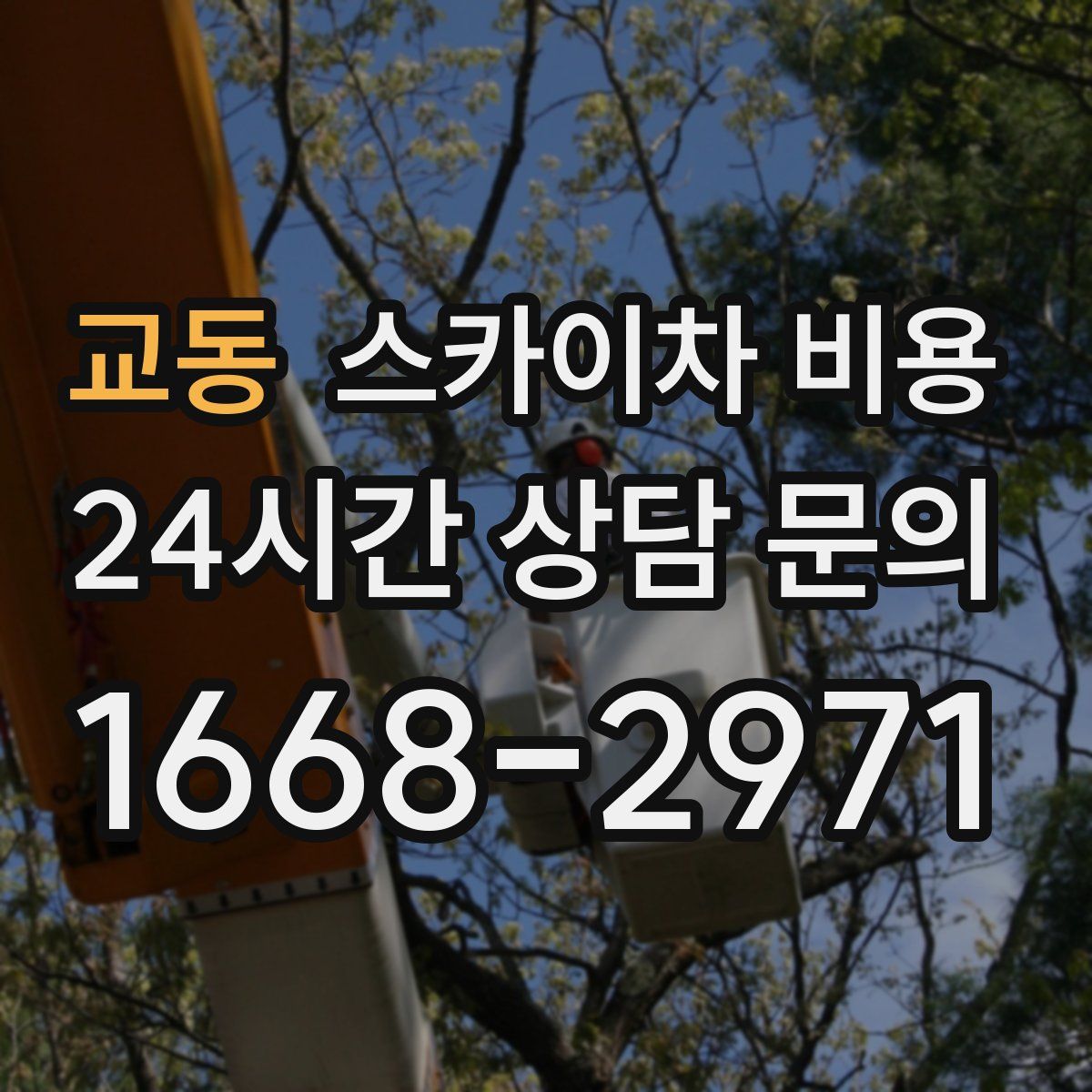 교동 스카이차 비용