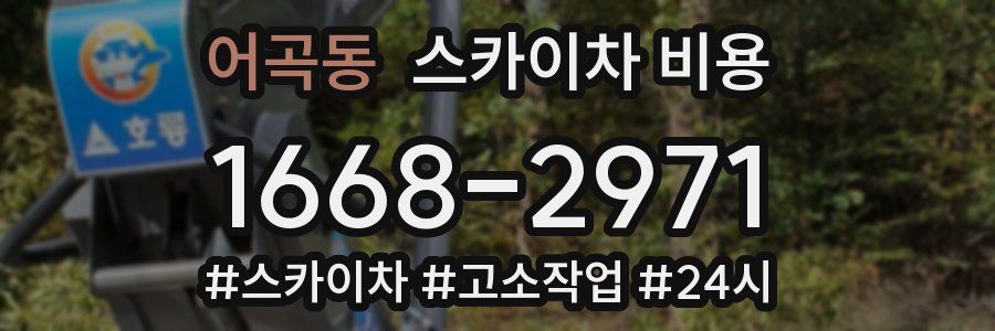 어곡동 스카이차 비용