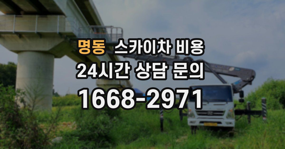 명동 스카이차 비용