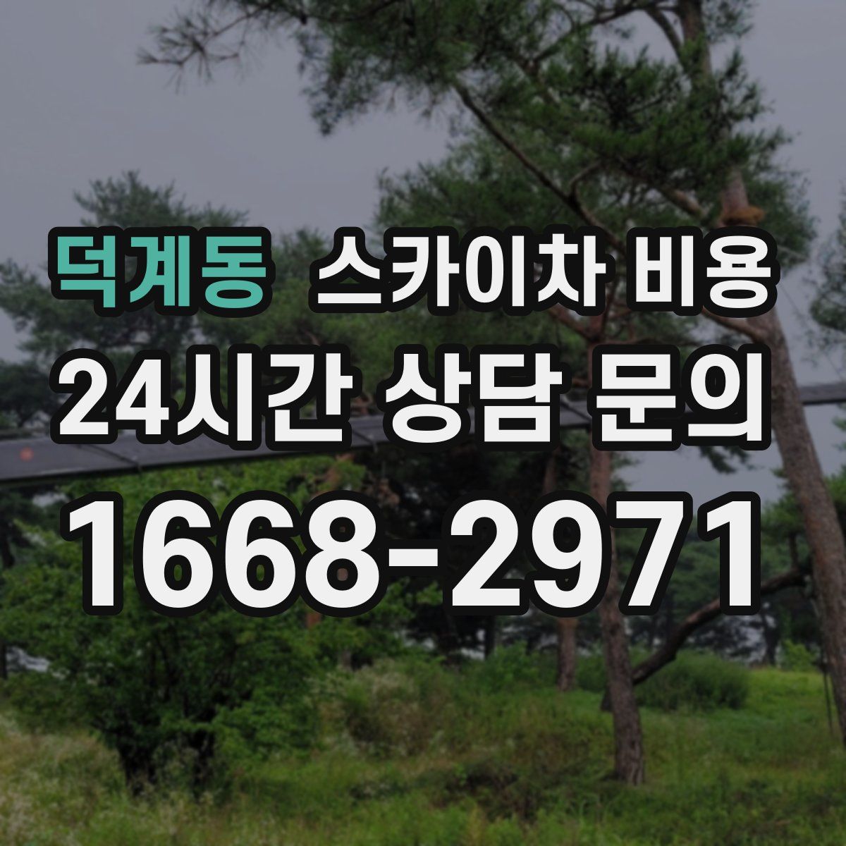 덕계동 스카이차 비용