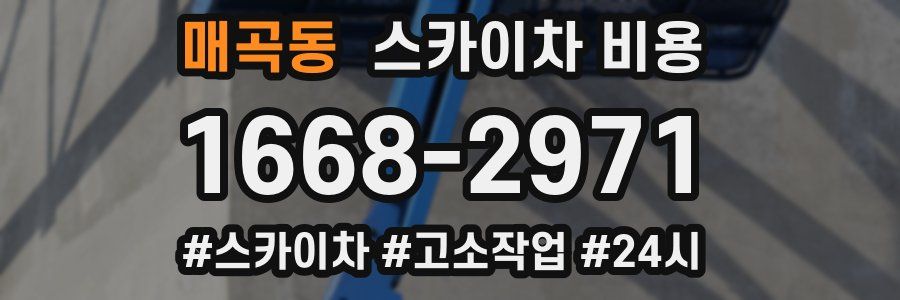 매곡동 스카이차 비용