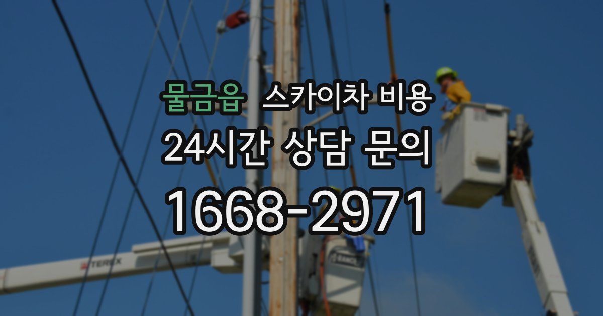 물금읍 스카이차 비용