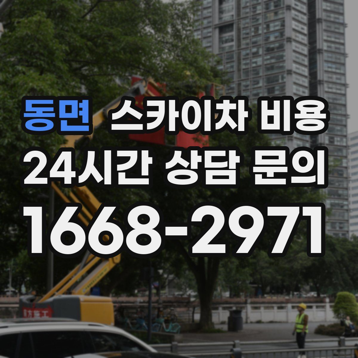 동면 스카이차 비용