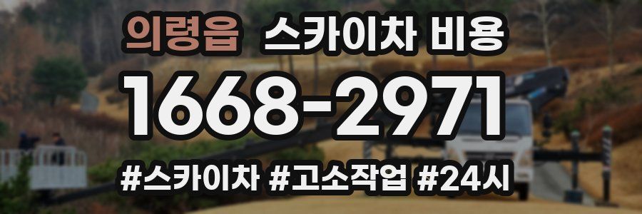 의령읍 스카이차 비용