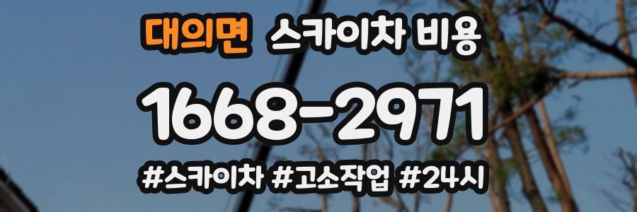 대의면 스카이차 비용