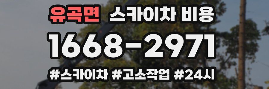 유곡면 스카이차 비용