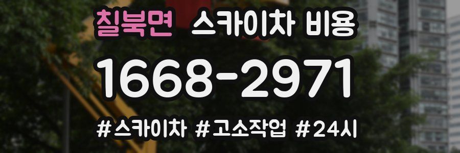 칠북면 스카이차 비용