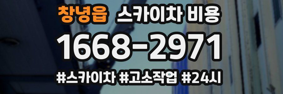 창녕읍 스카이차 비용