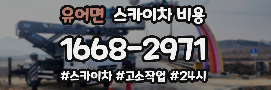 유어면 스카이차 비용