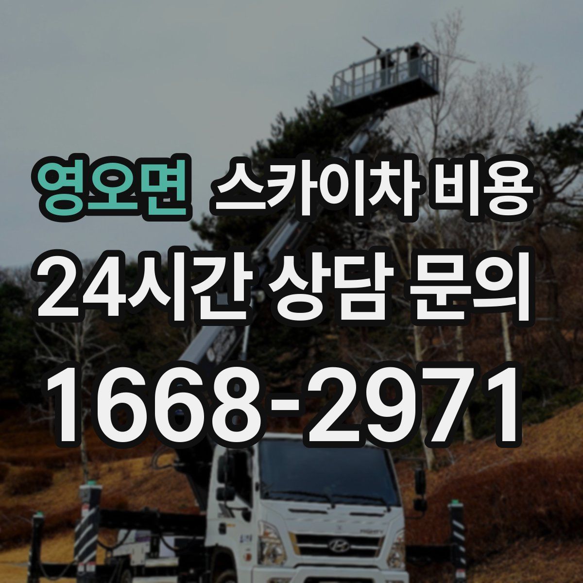 영오면 스카이차 비용