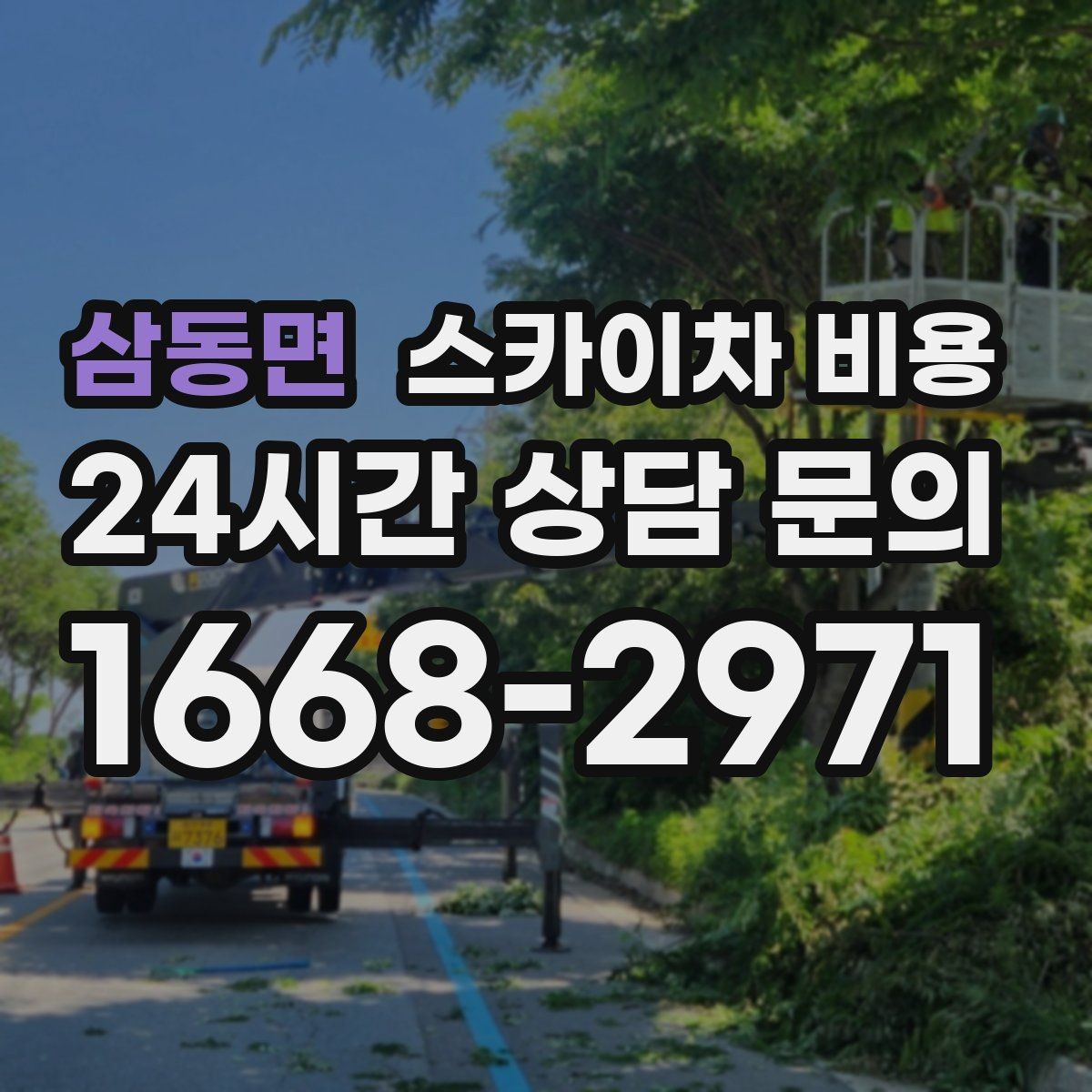 삼동면 스카이차 비용 시즌 장식 설치·철거 비용이 달라질까