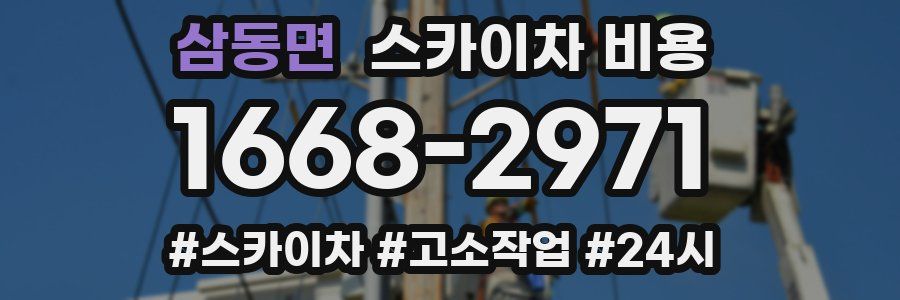 삼동면 스카이차 비용