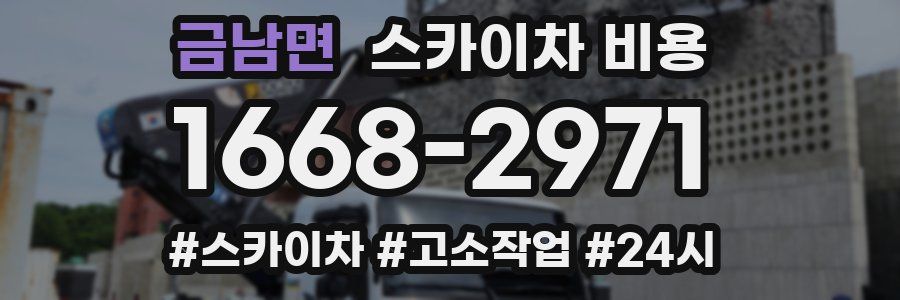 금남면 스카이차 비용