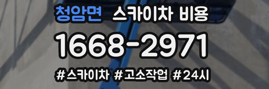 청암면 스카이차 비용