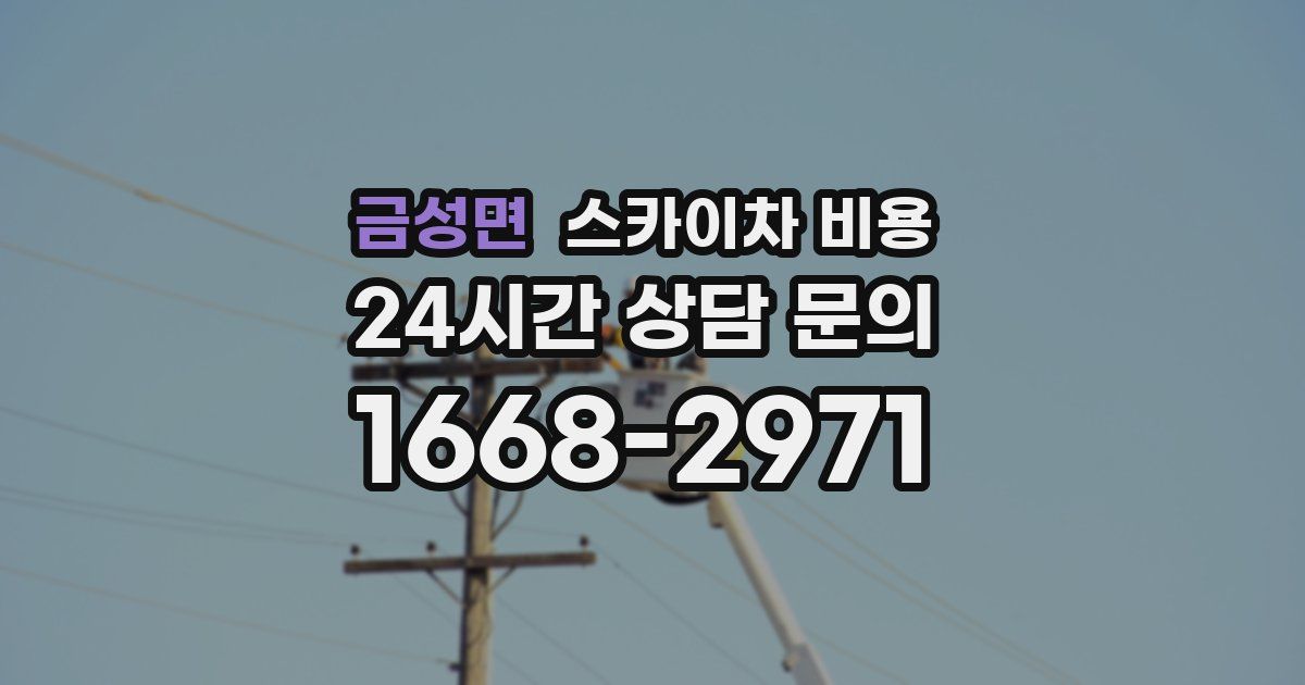 금성면 스카이차 비용