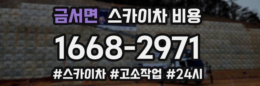 금서면 스카이차 비용