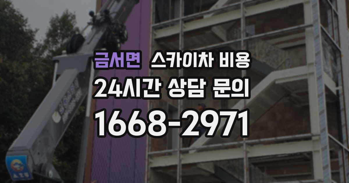 금서면 스카이차 비용